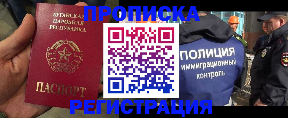 прописка поиск в Светлогорске