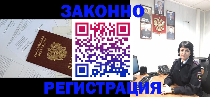 прописка гарантия в Светлогорске